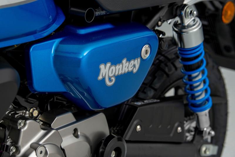  - Honda Monkey 2022 | Photo officielles du singe Euro 5